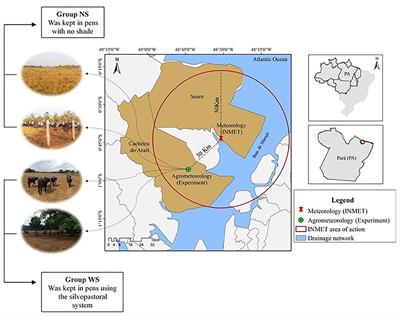 Thermoregulatory and Behavioral Responses of Buffaloes With and Without Direct Sun Exposure During Abnormal Environmental Condition in Marajó Island, Pará, Brazil